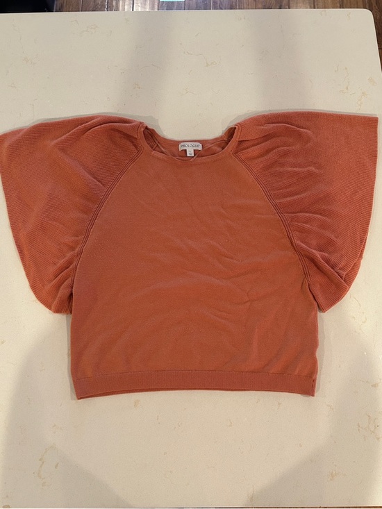 Prologue Tops - Prologue Burnt Orange Puff Sleeve Short Sleeve sweater Top